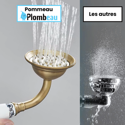 Pommeau de Douche Retro En Laiton Brossé Simple