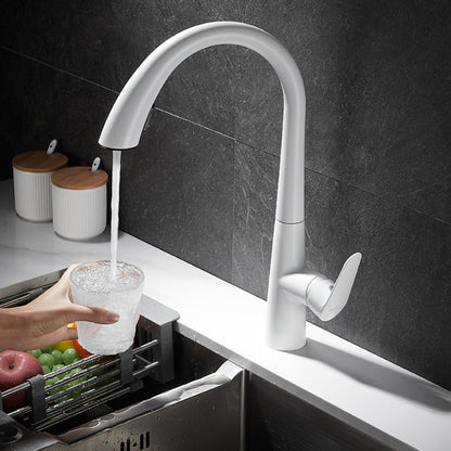 Robinet de cuisine Multifonctionnel Premium