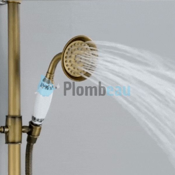 Pommeau de Douche Retro En Laiton Brossé Simple