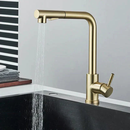 Robinet Lavabo avec Douchette Extractible en Acier Inoxydable