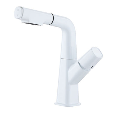 Robinet de Salle de Bain avec Douchette