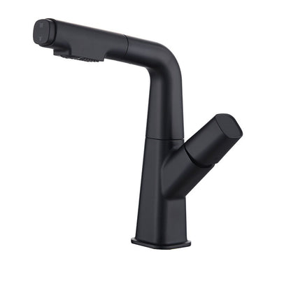 Robinet de Salle de Bain avec Douchette